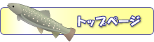 水輪フィッシングセンタートップページ