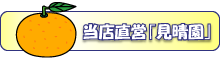 見晴園でみかん狩りをどうぞ